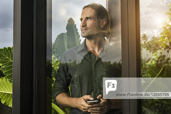 Hübscher Mann steht hinter der Glasfassade des Design-Hauses mit Smartphone  umgeben von einem üppigen tropischen Garten.