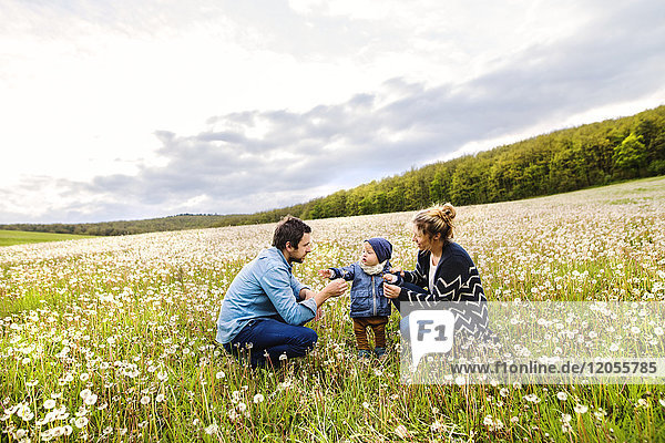 Cute little boy with parents in dandelion field