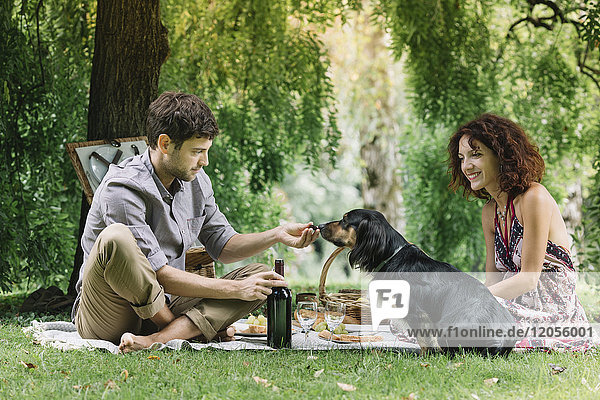 Pärchen mit Hund beim Picknick im Park