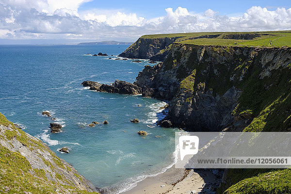 UK  England  Cornwall  Bucht mit Seehund am Godrevy Point