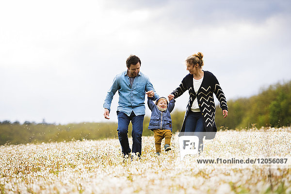 Parents walking with little boy in dandelion field