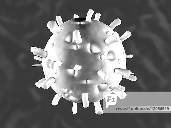 3D gerendert Darstellung einer anatomisch korrekten Konvergenz zu einem Rotavirus