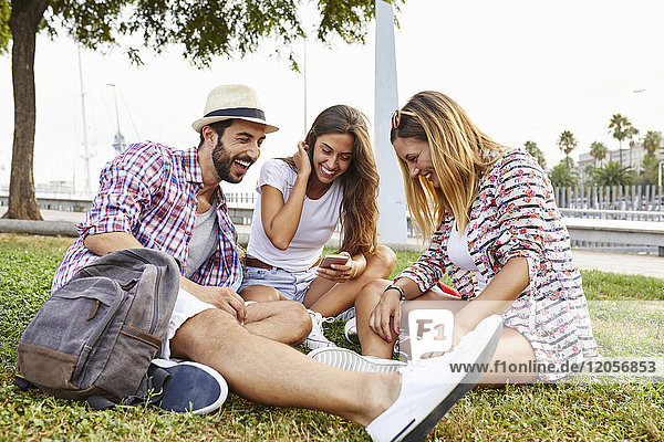 Drei glückliche Freunde sitzen im Park und teilen sich ein Smartphone.