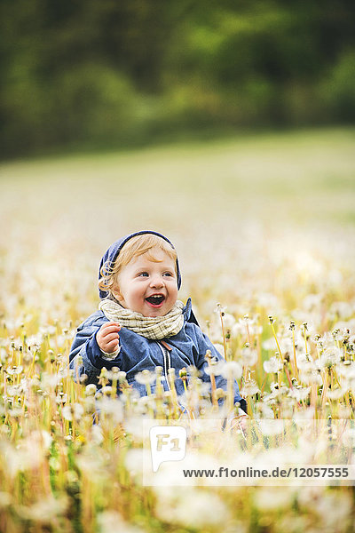 Happy little boy in meadow full of dandelions