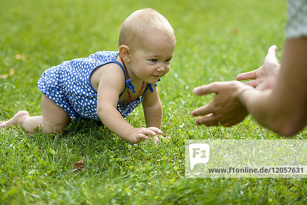Kleines Mädchen krabbelt auf Gras