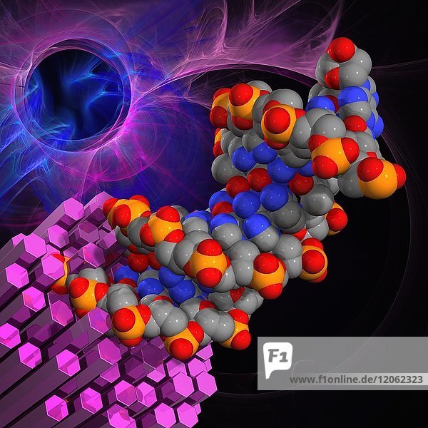 DNA-Molekül  Illustration
