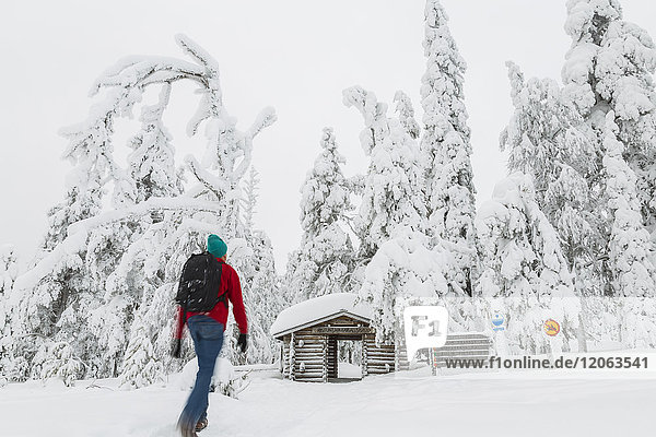 Rear view of man walking towards log cabin in forest with snow-covered trees.