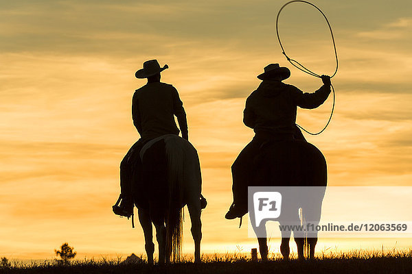 Zwei Cowboys reiten zu Pferd in einer Prärielandschaft bei Sonnenuntergang  einer schwingt das Lasso.