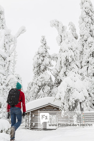 Rückansicht eines Mannes  der auf eine Blockhütte im Wald mit schneebedeckten Bäumen zugeht.
