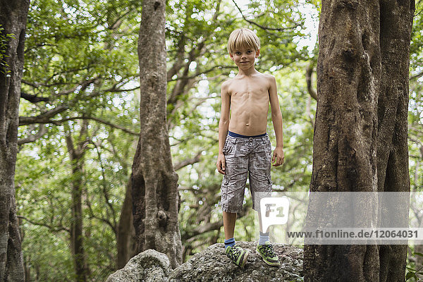 Porträt eines auf einem Felsen im Wald stehenden Jungen