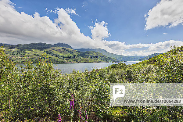 Blick auf einen See inmitten von Grünpflanzen und Bergen  Lochailort  Schottland