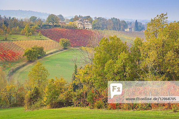 The countryside near Castelvetro Modena Province Emilia Romagna Italy.