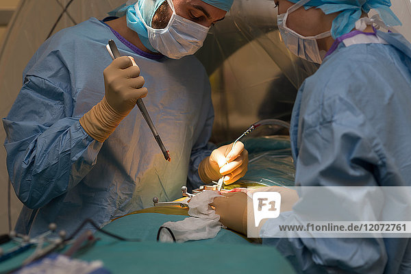 Reportage aus dem Operationssaal der orthopädischen Chirurgie im Krankenhaus Pasteur 2  Nizza  Frankreich. Markraumfreilegung und Arthrodese bei einem Patienten mit arthrosebedingter Lendenwirbelkanalstenose. Die Operation besteht darin  den Wirbelkanal von knöchernen Elementen zu befreien  die ihn zusammendrücken  und die Wirbelsäule mit einer Arthrodese zu verankern. Diese Operation wird mit dem O-Arm-System mit 3D-Bildern vor der Operation durchgeführt. Der Arzt entfernt die Laminae und die Dornfortsätze der Wirbelsäule.