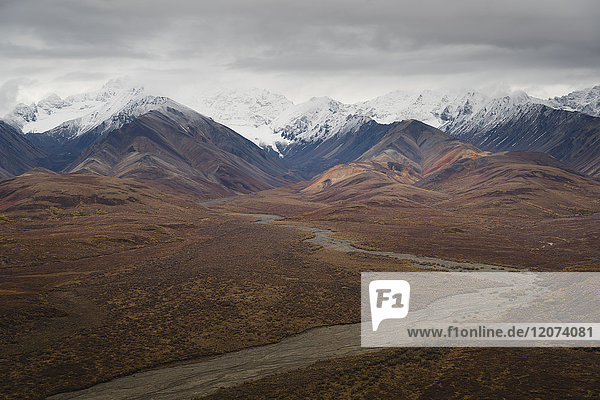 Polychrome Bergkette im Denali-Nationalpark  Alaska  Vereinigte Staaten von Amerika  Nordamerika