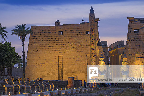 Allee der Sphinxen  Luxor-Tempel  UNESCO-Weltkulturerbe  Luxor  Ägypten  Nordafrika  Afrika