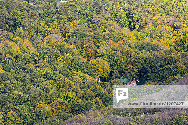 Kleines Haus im Wald im Herbst  Monte Cucco Park  Apennin  Umbrien  Italien  Europa