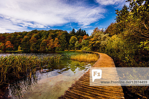 Scenic spot in Plitvice Lakes National Park  UNESCO World Heritage Site  Croatia  Europe