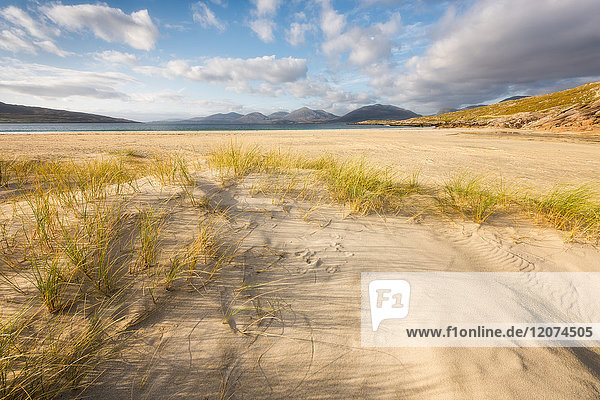 Strand von Luskentyre  Isle of Harris  Äußere Hebriden  Schottland  Vereinigtes Königreich  Europa