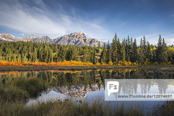 Pyramid Mountain spiegelt sich in einem herbstlich gefärbten See  Jasper National Park  UNESCO-Weltkulturerbe  Kanadische Rockies  Alberta  Kanada  Nordamerika