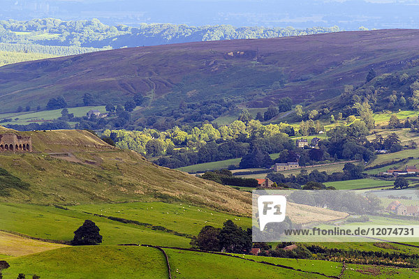 Blühendes Heideland und sanfte Hügel  Yorkshire Moors National Park  Yorkshire  England  Vereinigtes Königreich  Europa