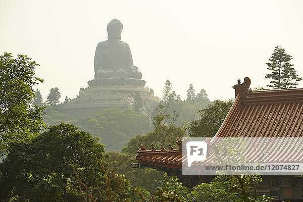 Big Buddha from Po Lin Monastery  Ngong Ping  Lantau Island  Hong Kong  China  Asia