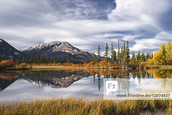 Autumn foliage and mountain lake  Jasper National Park  UNESCO World Heritage Site  Canadian Rockies  Alberta  Canada  North America