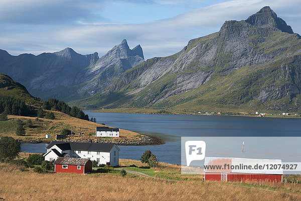 Bauernhöfe auf dem Land  Lofoten  Nordland  Norwegen  Skandinavien  Europa