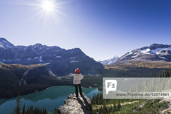 Wanderer mit Blick auf die alpinen Berge und den Lake O'Hara vom Alpine Circuit Trail  Yoho National Park  UNESCO-Weltkulturerbe  Kanadische Rockies  British Columbia  Kanada  Nordamerika