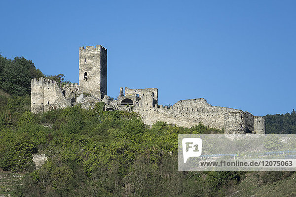 Hinterhaus castle ruins  Spitz  Wachau Valley  UNESCO World Heritage Site  Lower Austria  Austria  Europe