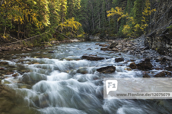 Fluss  der durch den Maligne Canyon fließt  mit Herbstlaub  Jasper National Park  UNESCO-Weltkulturerbe  Alberta  Kanada  Nordamerika