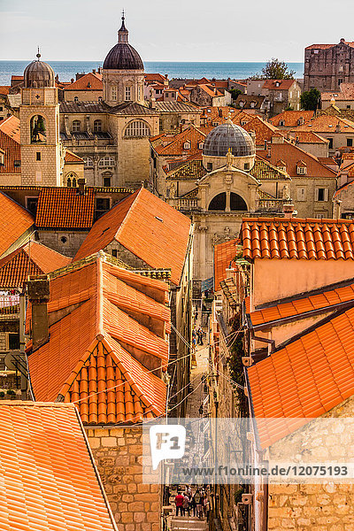 Panoramablick auf Dubrovnik  Kroatien  Europa
