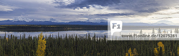 Mount Drum  Sanford  Wrangell und Blackburn  Wrangell-St. Elias-Nationalpark  UNESCO-Welterbe  Willow Creek  Alaska  Vereinigte Staaten von Amerika  Nord-Amerika