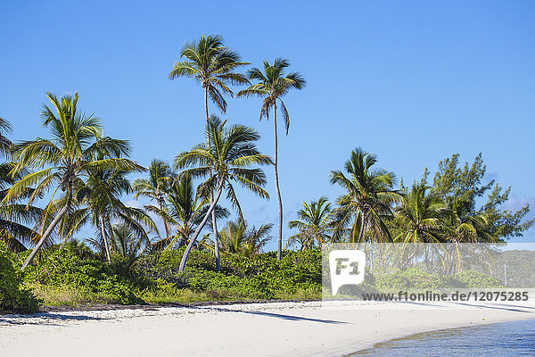 Tihiti-Strand  Elbow Cay  Abaco-Inseln  Bahamas  Westindische Inseln  Mittelamerika