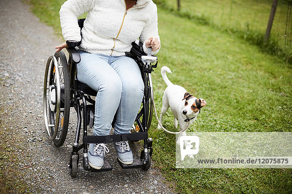 Niedriger Abschnitt der behinderten Frau im Rollstuhl mit Hund auf unbefestigtem Weg