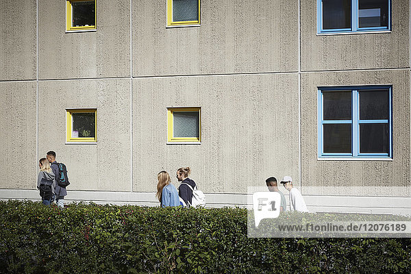 University Students walking by hedge in campus on sunny day