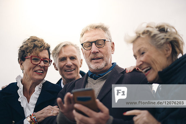 Niedriger Blickwinkel auf ältere männliche und weibliche Freunde  die ein Smartphone benutzen  während sie im Hafen stehen