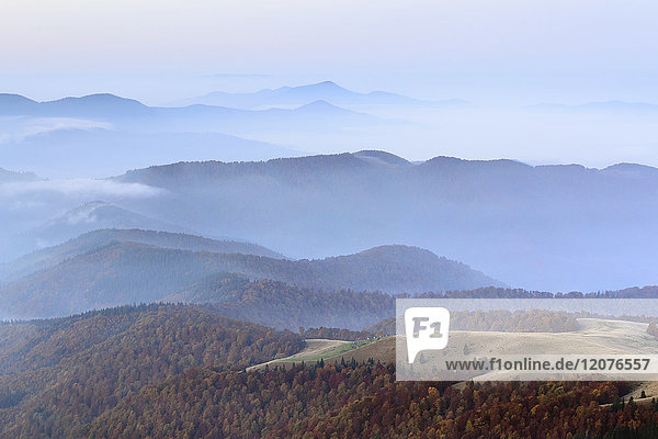 Ukraine  Gebiet Zakarpattia  Bezirk Rachiw  Karpaten  Chornohora  Sheshul  Berglandschaft mit Nebel