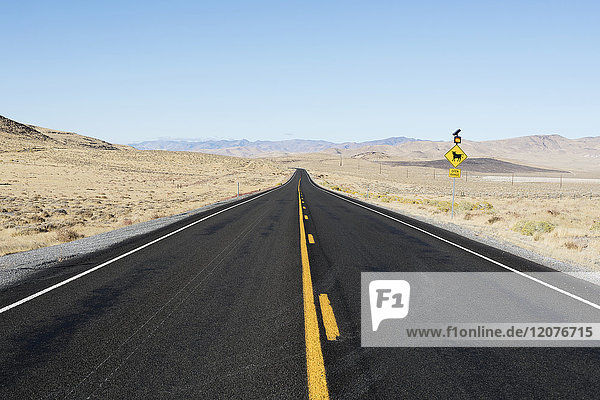 USA  Nevada  Highway 50  Klarer Himmel über leerer Straße