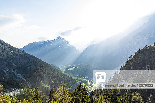 Schweiz  Graubünden  Schweizer Alpen  Parc Ela  Nähe Julierpass