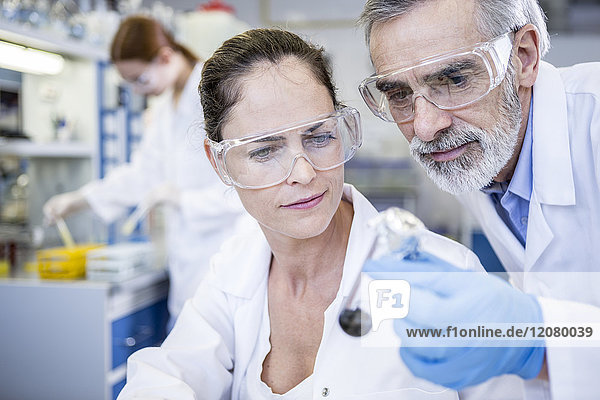 Scientists in lab examining sample