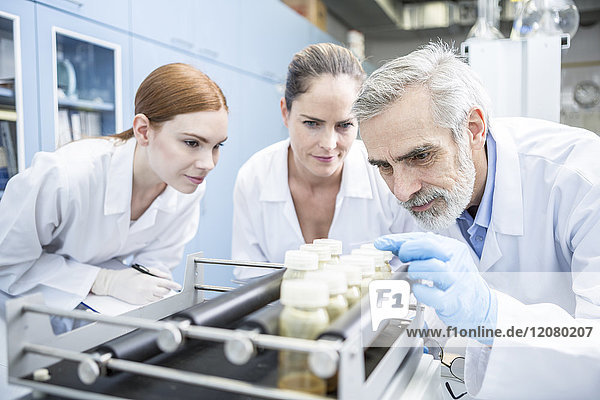 Three scientists in lab examining samples