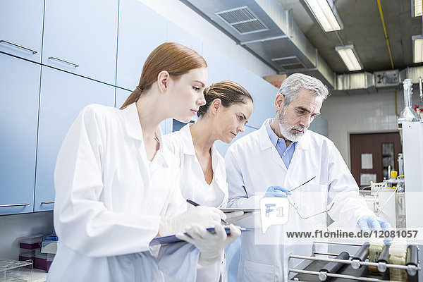 Drei Wissenschaftler im Labor untersuchen Proben