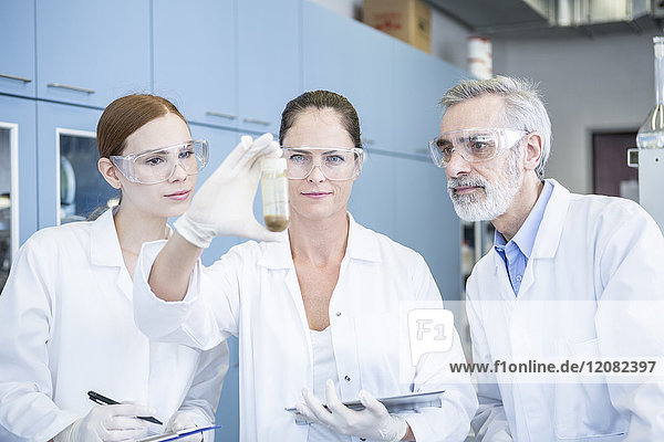 Drei Wissenschaftler im Labor untersuchen Probe
