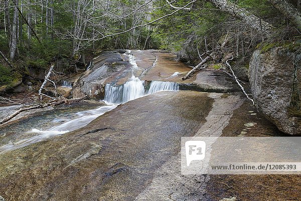 Cascade on Whitehouse Brook in Franconia Notch of Lincoln  New Hampshire on a spring day.