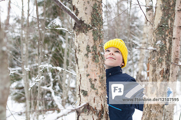 Boy in yellow knit hat looking up at tree in snow covered forest
