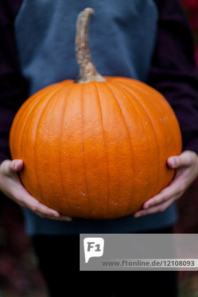 Cropped view of boy holding pumpkin