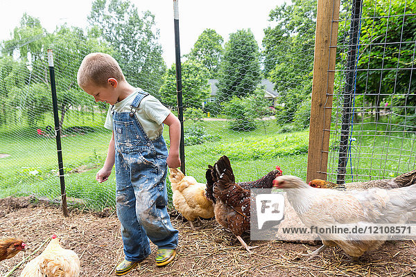 Junge im Hühnerstall mit Hühnern