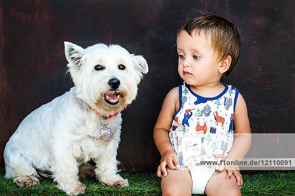 Porträt eines niedlichen weißen Hundes und eines starren Kleinkindes im Garten sitzend