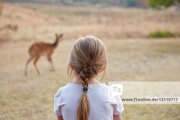 Mädchen in ländlicher Umgebung  beobachtet Bergriedbockantilope  Rückansicht