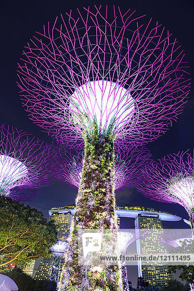 Singapur  Gardens by the bay  Supertree Grove  nachts beleuchtet